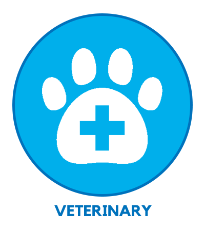 1 icon veterinary