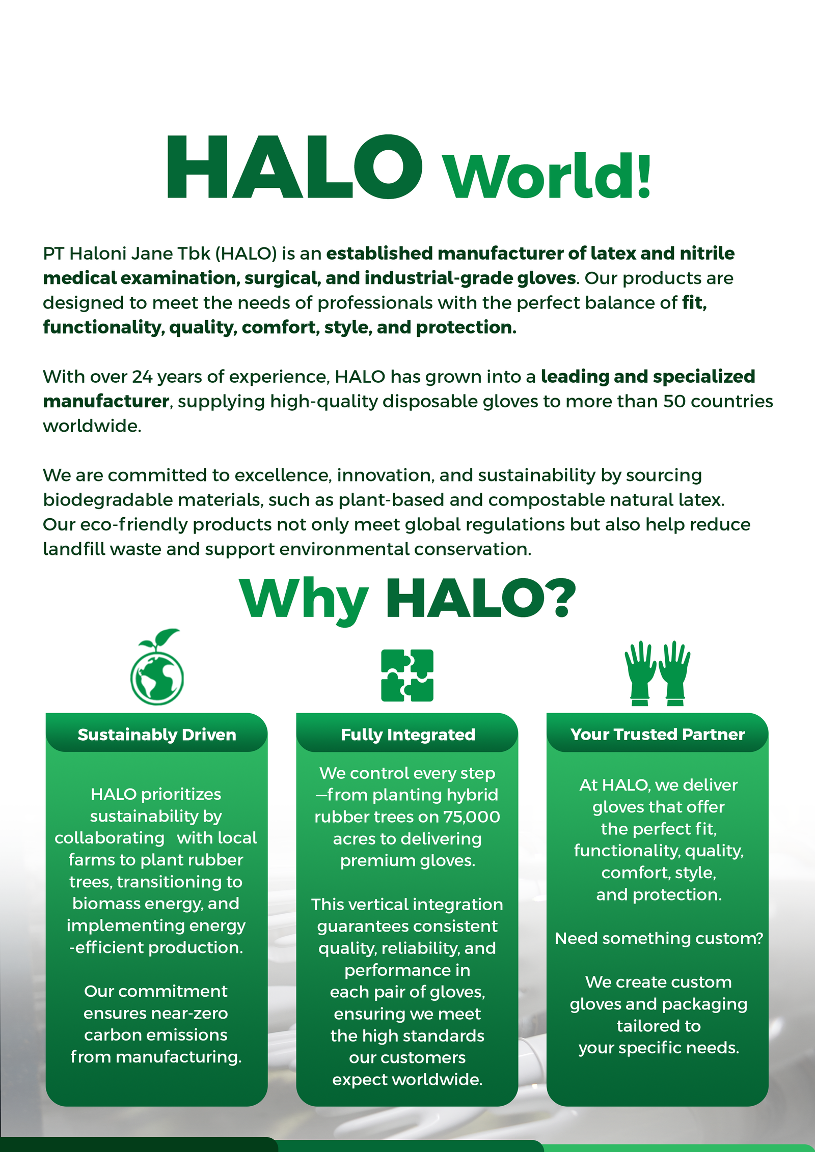 02 HALO Company Profile