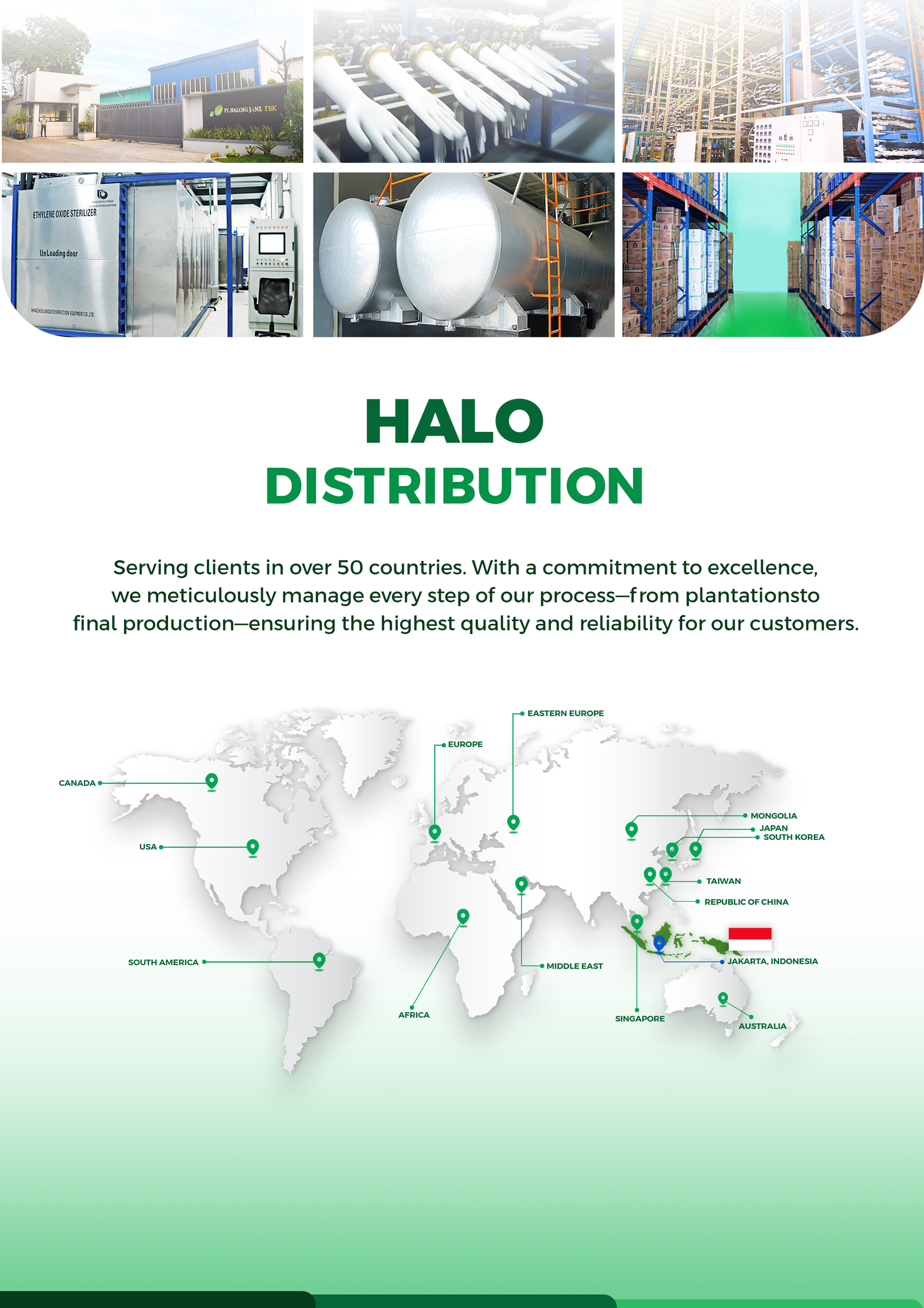 07 HALO Company Profile