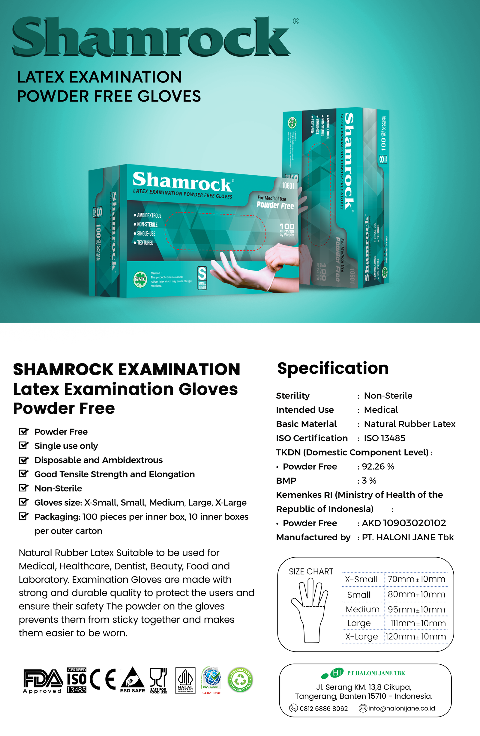 Shamrock EXAMINATION