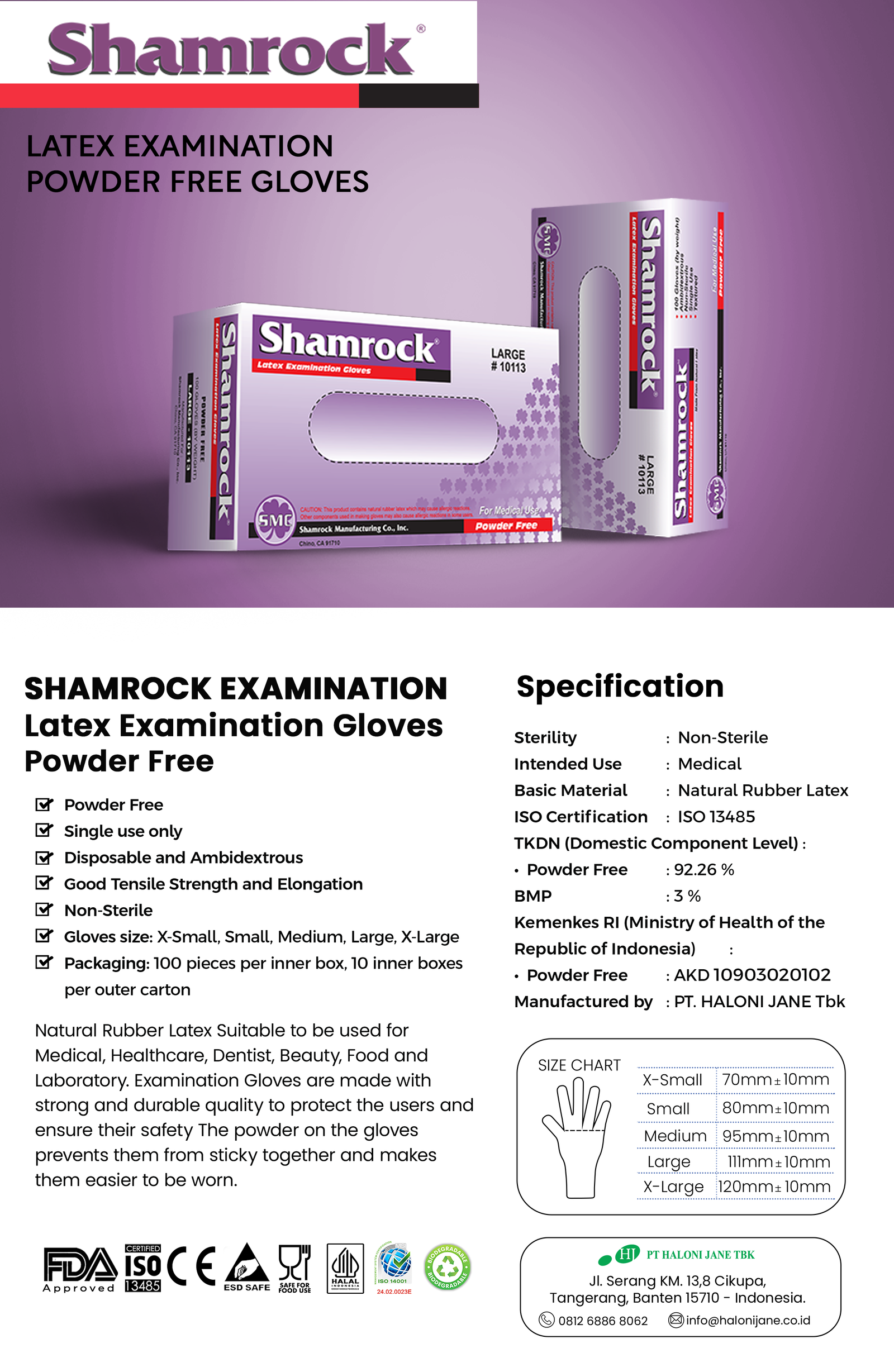 Shamrock EXAMINATION